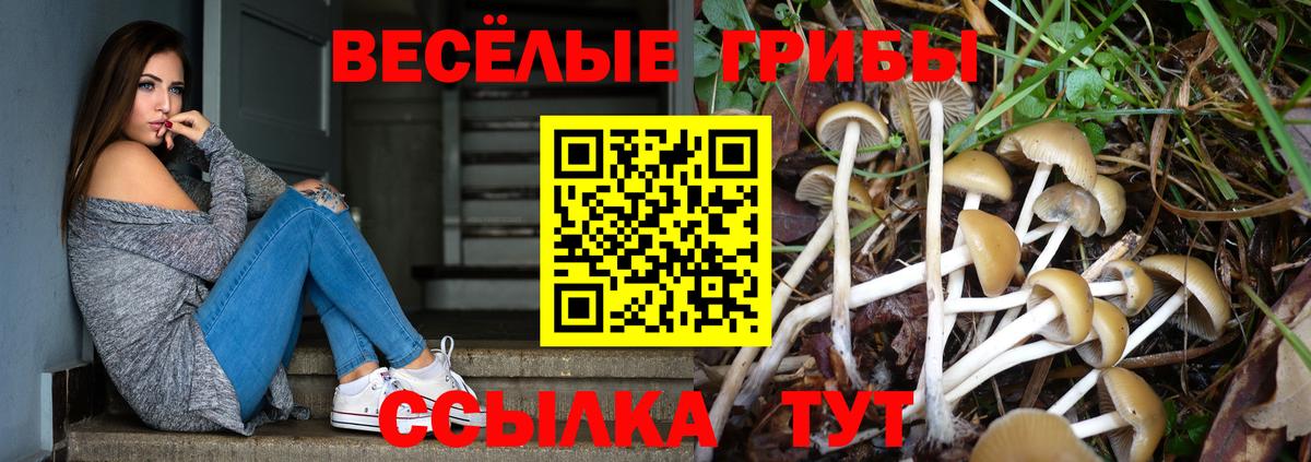 Псилоцибиновые грибы Magic Shrooms Дубна