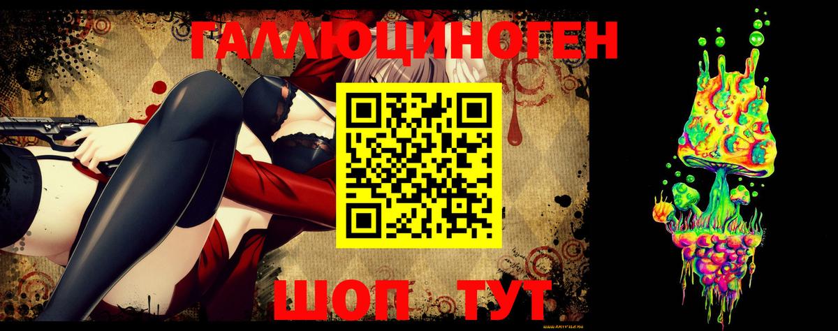 Дубна  Псилоцибиновые грибы MAGIC MUSHROOMS  Вход с VPN 